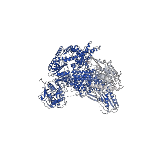 38993_8y6o_C_v1-1
Cryo-EM Structure of the human minor pre-B complex (pre-precatalytic spliceosome) U11 and tri-snRNP part