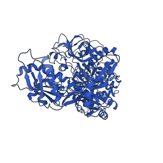 38993_8y6o_D_v1-1
Cryo-EM Structure of the human minor pre-B complex (pre-precatalytic spliceosome) U11 and tri-snRNP part