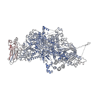 38993_8y6o_E_v1-1
Cryo-EM Structure of the human minor pre-B complex (pre-precatalytic spliceosome) U11 and tri-snRNP part