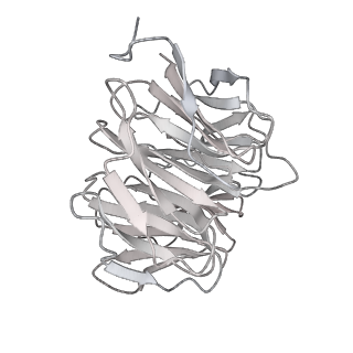 38993_8y6o_F_v1-1
Cryo-EM Structure of the human minor pre-B complex (pre-precatalytic spliceosome) U11 and tri-snRNP part