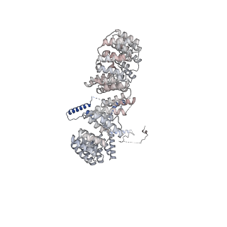 38993_8y6o_G_v1-1
Cryo-EM Structure of the human minor pre-B complex (pre-precatalytic spliceosome) U11 and tri-snRNP part