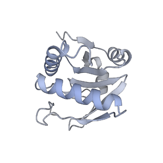 38993_8y6o_H_v1-1
Cryo-EM Structure of the human minor pre-B complex (pre-precatalytic spliceosome) U11 and tri-snRNP part