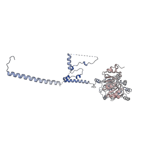 38993_8y6o_I_v1-1
Cryo-EM Structure of the human minor pre-B complex (pre-precatalytic spliceosome) U11 and tri-snRNP part