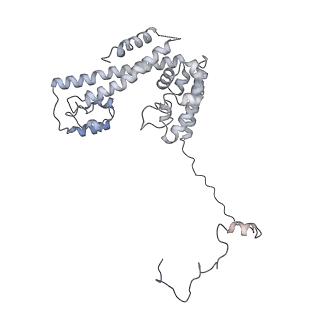 38993_8y6o_L_v1-1
Cryo-EM Structure of the human minor pre-B complex (pre-precatalytic spliceosome) U11 and tri-snRNP part
