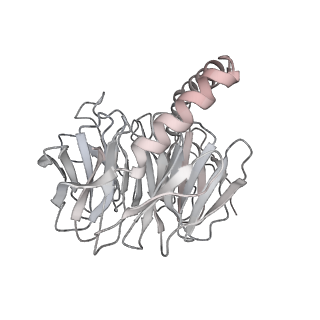 38993_8y6o_M_v1-1
Cryo-EM Structure of the human minor pre-B complex (pre-precatalytic spliceosome) U11 and tri-snRNP part