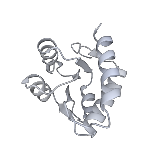 38993_8y6o_O_v1-1
Cryo-EM Structure of the human minor pre-B complex (pre-precatalytic spliceosome) U11 and tri-snRNP part