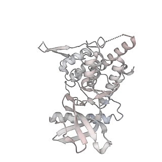 38993_8y6o_Q_v1-1
Cryo-EM Structure of the human minor pre-B complex (pre-precatalytic spliceosome) U11 and tri-snRNP part