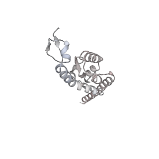 38993_8y6o_R_v1-1
Cryo-EM Structure of the human minor pre-B complex (pre-precatalytic spliceosome) U11 and tri-snRNP part