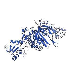 38993_8y6o_U_v1-1
Cryo-EM Structure of the human minor pre-B complex (pre-precatalytic spliceosome) U11 and tri-snRNP part