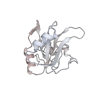 38993_8y6o_W_v1-1
Cryo-EM Structure of the human minor pre-B complex (pre-precatalytic spliceosome) U11 and tri-snRNP part