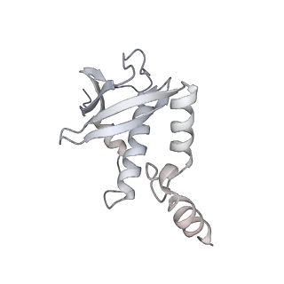 38993_8y6o_X_v1-1
Cryo-EM Structure of the human minor pre-B complex (pre-precatalytic spliceosome) U11 and tri-snRNP part