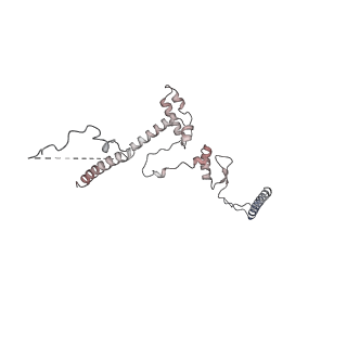 38993_8y6o_Y_v1-1
Cryo-EM Structure of the human minor pre-B complex (pre-precatalytic spliceosome) U11 and tri-snRNP part