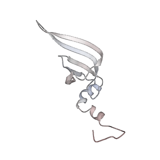 38993_8y6o_c_v1-1
Cryo-EM Structure of the human minor pre-B complex (pre-precatalytic spliceosome) U11 and tri-snRNP part