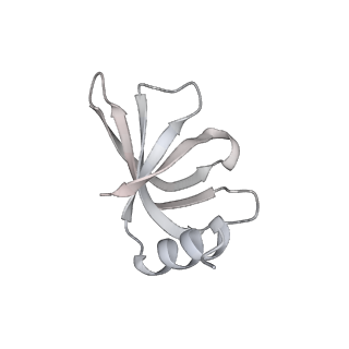 38993_8y6o_e_v1-1
Cryo-EM Structure of the human minor pre-B complex (pre-precatalytic spliceosome) U11 and tri-snRNP part