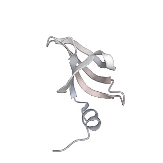 38993_8y6o_f_v1-1
Cryo-EM Structure of the human minor pre-B complex (pre-precatalytic spliceosome) U11 and tri-snRNP part