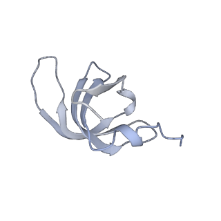 38993_8y6o_g_v1-1
Cryo-EM Structure of the human minor pre-B complex (pre-precatalytic spliceosome) U11 and tri-snRNP part