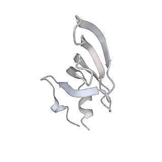 38993_8y6o_i_v1-1
Cryo-EM Structure of the human minor pre-B complex (pre-precatalytic spliceosome) U11 and tri-snRNP part