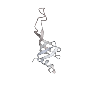 38993_8y6o_j_v1-1
Cryo-EM Structure of the human minor pre-B complex (pre-precatalytic spliceosome) U11 and tri-snRNP part