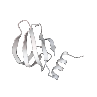 38993_8y6o_l_v1-1
Cryo-EM Structure of the human minor pre-B complex (pre-precatalytic spliceosome) U11 and tri-snRNP part