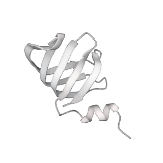 38993_8y6o_m_v1-1
Cryo-EM Structure of the human minor pre-B complex (pre-precatalytic spliceosome) U11 and tri-snRNP part