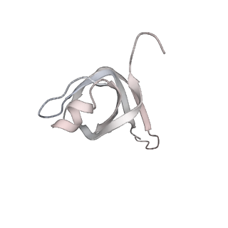 38993_8y6o_o_v1-1
Cryo-EM Structure of the human minor pre-B complex (pre-precatalytic spliceosome) U11 and tri-snRNP part