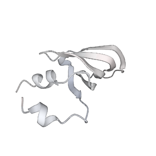 38993_8y6o_p_v1-1
Cryo-EM Structure of the human minor pre-B complex (pre-precatalytic spliceosome) U11 and tri-snRNP part