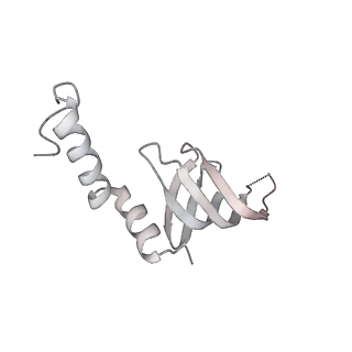 38993_8y6o_q_v1-1
Cryo-EM Structure of the human minor pre-B complex (pre-precatalytic spliceosome) U11 and tri-snRNP part