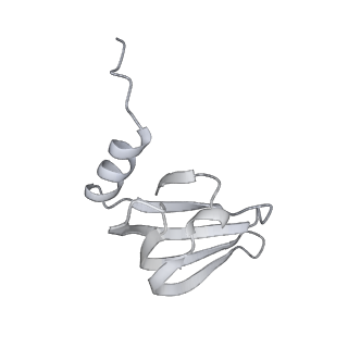 38993_8y6o_s_v1-1
Cryo-EM Structure of the human minor pre-B complex (pre-precatalytic spliceosome) U11 and tri-snRNP part