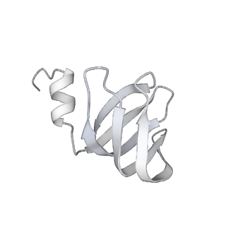 38993_8y6o_t_v1-1
Cryo-EM Structure of the human minor pre-B complex (pre-precatalytic spliceosome) U11 and tri-snRNP part