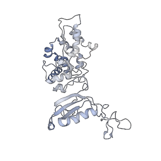 6769_5y6p_24_v1-0
Structure of the phycobilisome from the red alga Griffithsia pacifica