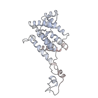 6769_5y6p_34_v1-0
Structure of the phycobilisome from the red alga Griffithsia pacifica