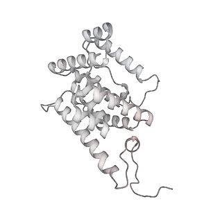 6769_5y6p_44_v1-0
Structure of the phycobilisome from the red alga Griffithsia pacifica