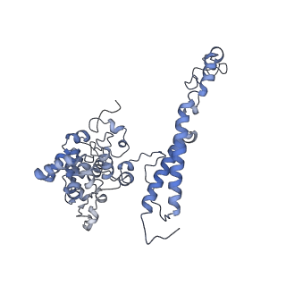 6769_5y6p_B2_v1-0
Structure of the phycobilisome from the red alga Griffithsia pacifica