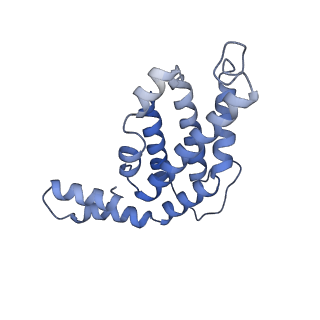 6769_5y6p_B6_v1-0
Structure of the phycobilisome from the red alga Griffithsia pacifica