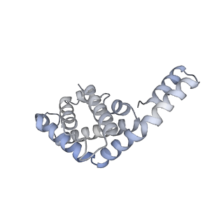 6769_5y6p_E9_v1-0
Structure of the phycobilisome from the red alga Griffithsia pacifica