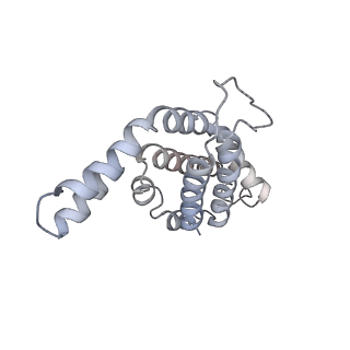 6769_5y6p_F4_v1-0
Structure of the phycobilisome from the red alga Griffithsia pacifica
