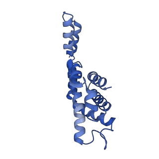 6769_5y6p_G1_v1-0
Structure of the phycobilisome from the red alga Griffithsia pacifica