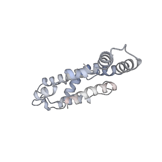 6769_5y6p_I4_v1-0
Structure of the phycobilisome from the red alga Griffithsia pacifica
