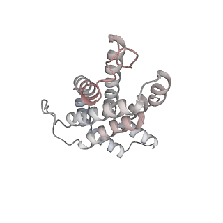 6769_5y6p_I8_v1-0
Structure of the phycobilisome from the red alga Griffithsia pacifica