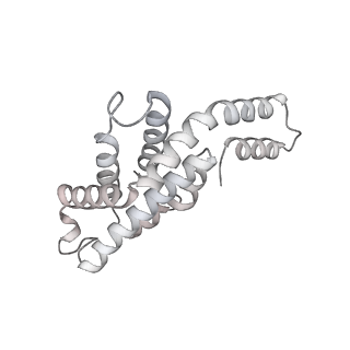 6769_5y6p_J8_v1-0
Structure of the phycobilisome from the red alga Griffithsia pacifica