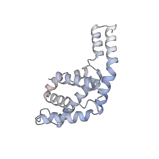 6769_5y6p_K3_v1-0
Structure of the phycobilisome from the red alga Griffithsia pacifica