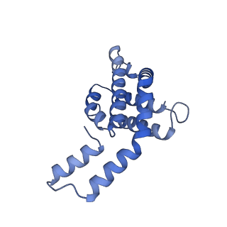 6769_5y6p_K7_v1-0
Structure of the phycobilisome from the red alga Griffithsia pacifica