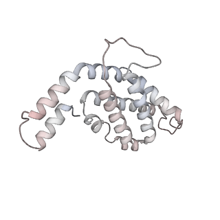 6769_5y6p_K8_v1-0
Structure of the phycobilisome from the red alga Griffithsia pacifica
