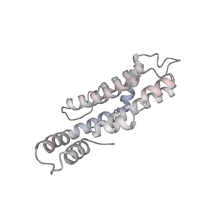 6769_5y6p_L9_v1-0
Structure of the phycobilisome from the red alga Griffithsia pacifica