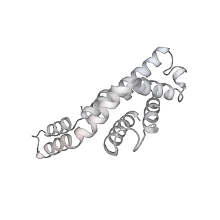 6769_5y6p_M5_v1-0
Structure of the phycobilisome from the red alga Griffithsia pacifica