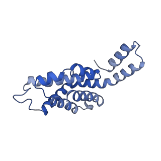 6769_5y6p_M6_v1-0
Structure of the phycobilisome from the red alga Griffithsia pacifica