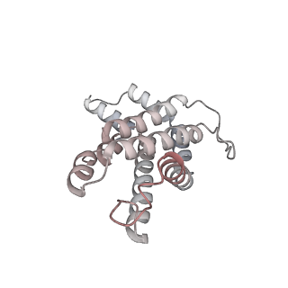 6769_5y6p_N9_v1-0
Structure of the phycobilisome from the red alga Griffithsia pacifica