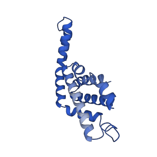 6769_5y6p_O1_v1-0
Structure of the phycobilisome from the red alga Griffithsia pacifica