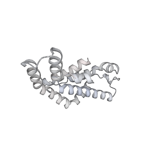 6769_5y6p_O4_v1-0
Structure of the phycobilisome from the red alga Griffithsia pacifica