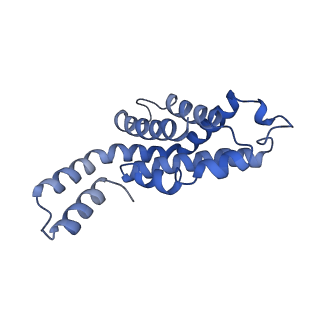 6769_5y6p_O7_v1-0
Structure of the phycobilisome from the red alga Griffithsia pacifica